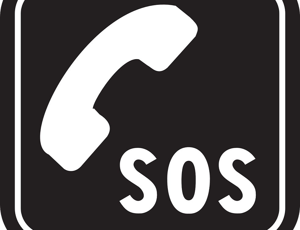 Od početka godine na <span style='color:red;'><b>SOS telefon</b></span> stiglo preko hiljadu poziva
